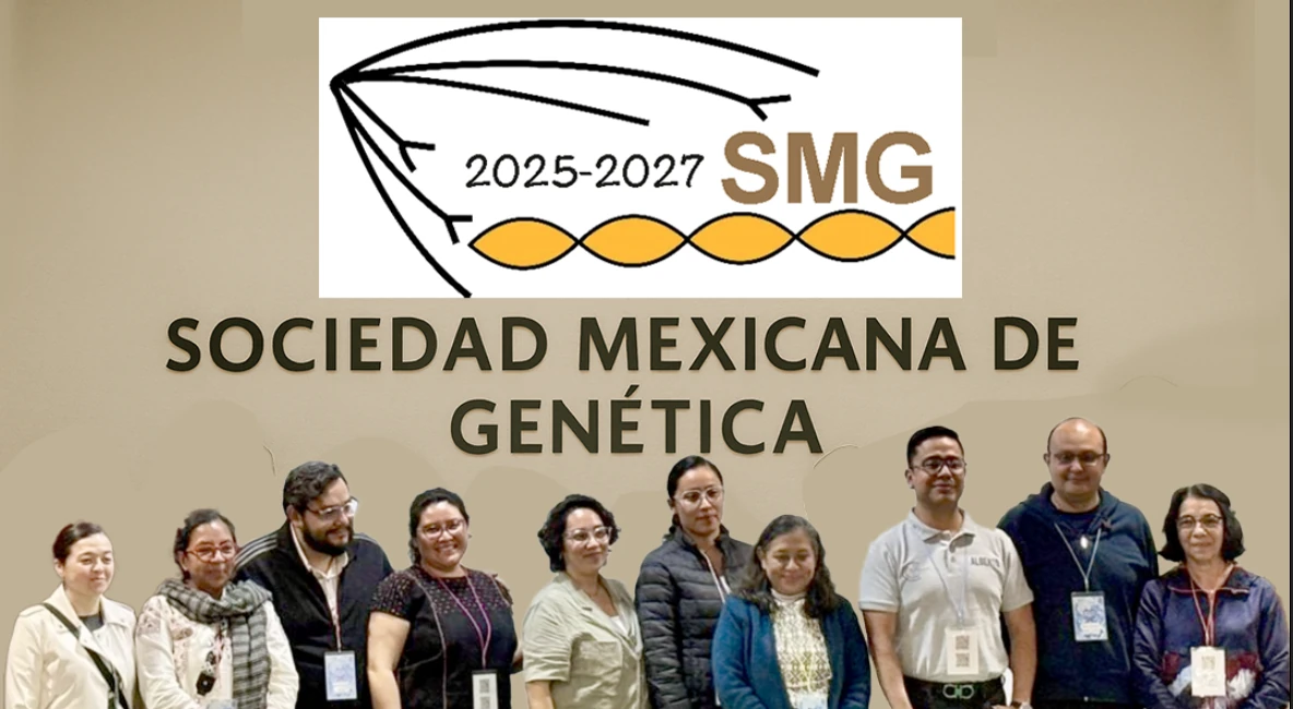 Elemento destacado 1